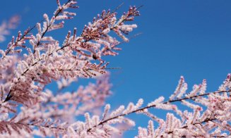 Veşti bune de la meteorologi. Vine primăvara!