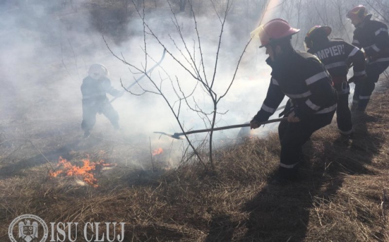Peste 100 de hectare de vegetație uscată, mistuite de flăcări