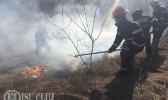 Peste 100 de hectare de vegetație uscată, mistuite de flăcări
