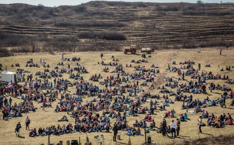 Bancherii din Cluj au plantat o pădure de 50 de hectare