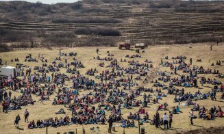 Bancherii din Cluj au plantat o pădure de 50 de hectare