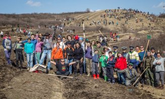 Bancherii din Cluj au plantat o pădure de 50 de hectare