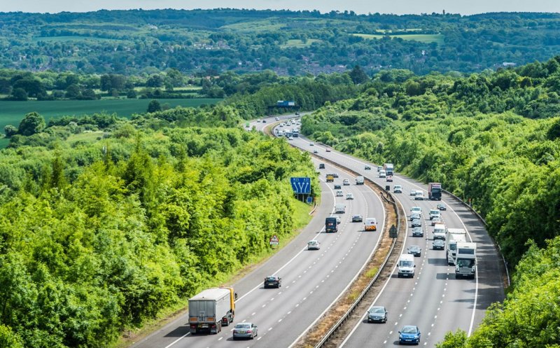 Autostrada Transilvania va avea perdele forestiere