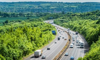 Autostrada Transilvania va avea perdele forestiere