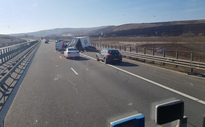 Pui pe Autostrada Transilvania