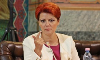 Olguţa Vasilescu, atac la Iohannis: Să se uite în oglindă. Va vedea cum arată un om cu 40 de dosare penale