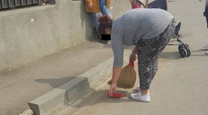 Ce poţi păţi în Cluj dacă arunci coji de seminţe pe stradă
