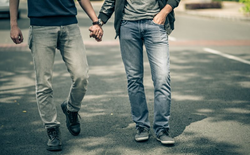 Guvernul respinge parteneriatul civil între persoanele de acelaşi sex