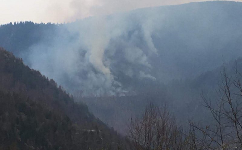 Incendiu pe 20 de hectare de pădure din Cluj. Pompierii intervin de câteva ore