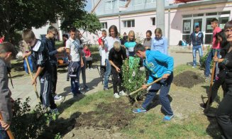 Ministerul Agriculturii preia liceele agricole și le dă câte 10 ha de teren