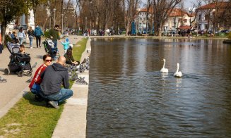 Lebede Parcul Central