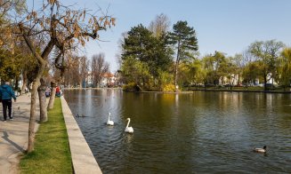 Lebede Parcul Central