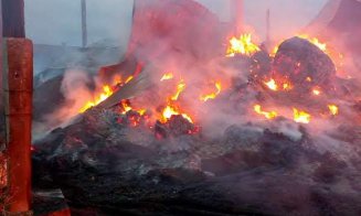 Incendiu masiv în Valea Florilor. Pompierii s-au luptat cu flăcările timp de 6 ore