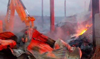 Incendiu masiv în Valea Florilor. Pompierii s-au luptat cu flăcările timp de 6 ore