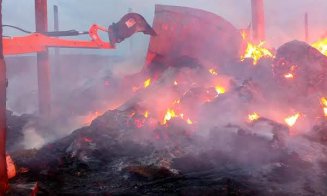 Incendiu masiv în Valea Florilor. Pompierii s-au luptat cu flăcările timp de 6 ore