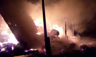 Incendiu masiv în Valea Florilor. Pompierii s-au luptat cu flăcările timp de 6 ore