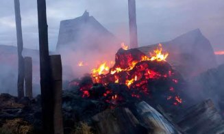 Incendiu masiv în Valea Florilor. Pompierii s-au luptat cu flăcările timp de 6 ore