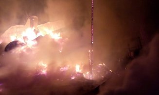 Incendiu masiv în Valea Florilor. Pompierii s-au luptat cu flăcările timp de 6 ore