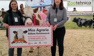 Vacile zburătoare de la Agraria