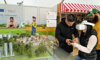 Vacile zburătoare de la Agraria