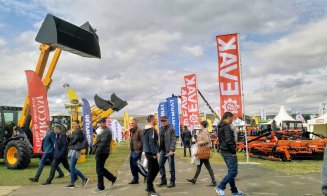 Vacile zburătoare de la Agraria