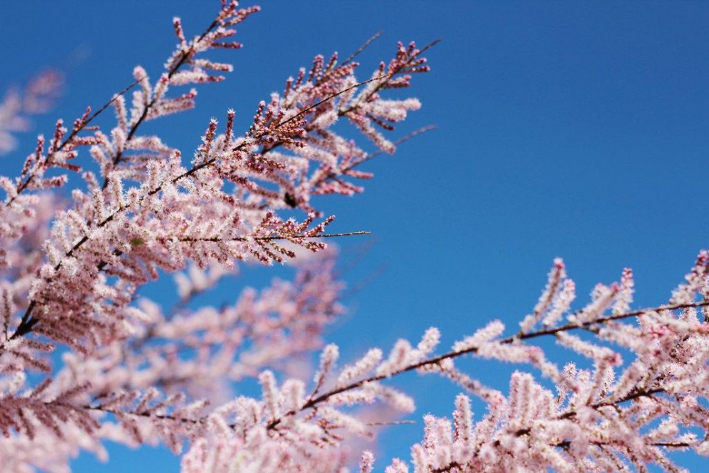 Prognoza meteo. Cum va fi vremea de Paşti şi 1 Mai