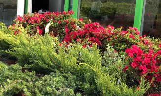 Soluţii complete pentru spaţii exterioare, în cel mai "european" Garden Center din Cluj