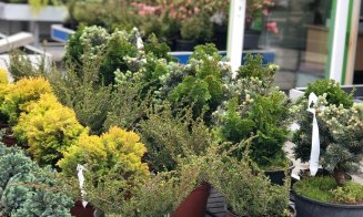 Soluţii complete pentru spaţii exterioare, în cel mai "european" Garden Center din Cluj