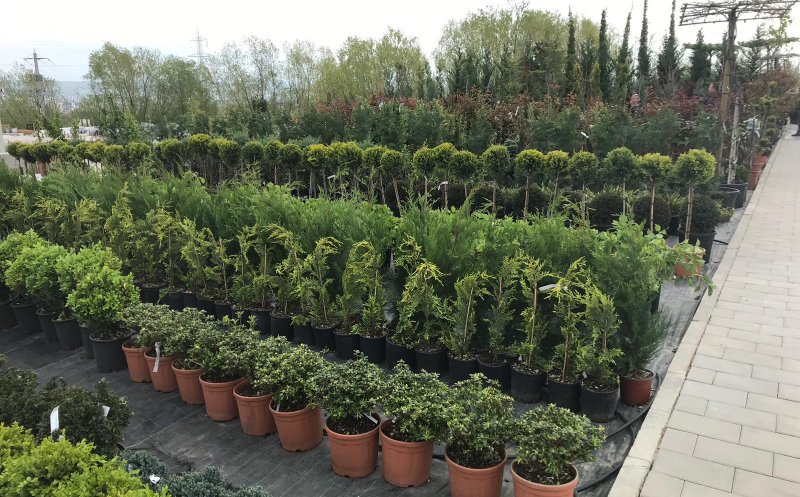 Soluţii complete pentru spaţii exterioare, în cel mai inovativ Garden Center din Cluj