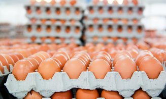 Tone de alimente și peste 70.000 de ouă, retrase de la vânzare