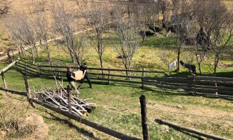 Voluntarii din Cluj au făcut fericite 45 de familii din creierii Apusenilor