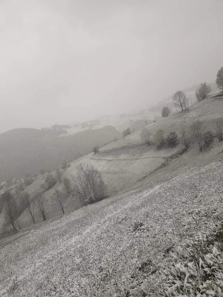 Se întoarce iarna? Zăpadă în mai, la Cluj