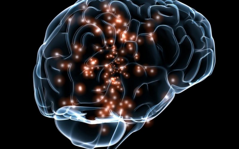 Dispozitiv care transformă semnalele cerebrale în vorbire articulată, creat de cercetătorii americani
