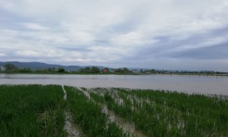 Inundaţii la Cluj. Persoane evacuate cu barca de salvare