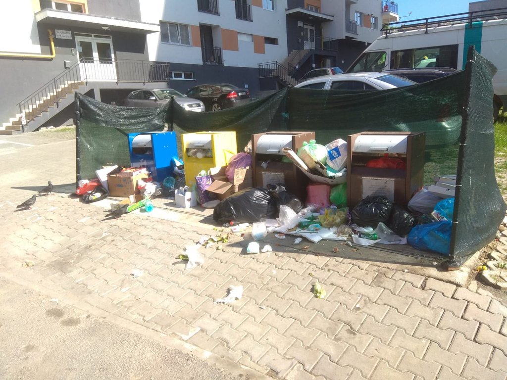 Gunoi aruncat din mașină, lângă ghene. Primarul din Baciu anunță amenzi și instalează camere video