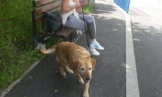 Clujenii se îngrămădesc la vot. Coadă de sute de persoane, la o secţie din Mănăştur