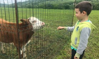 Festivalul de la Vultureni sfidează ploaia. Piscină cu noroi și alergat pe baloți