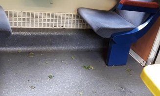 Cluj - București cu trenul: "Țânțari, toalete murdare, căldură și 3 ore întârzire"
