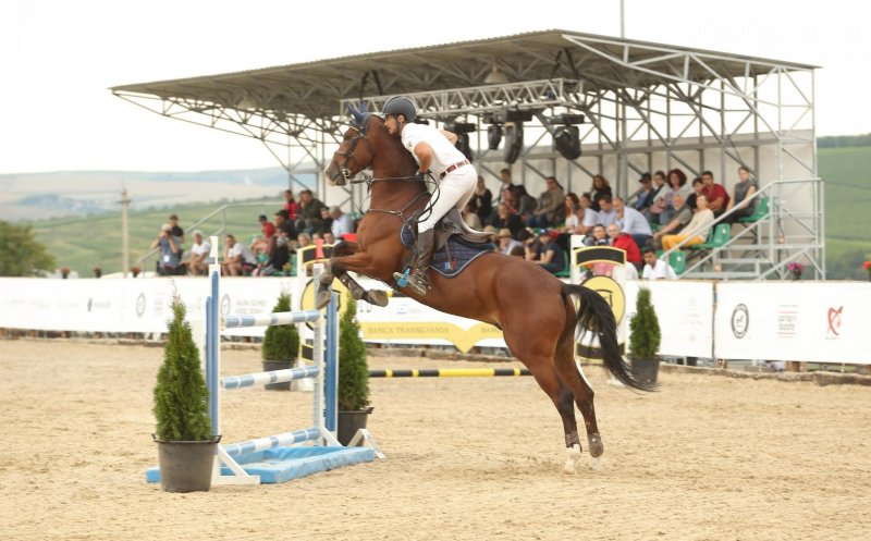 Probe spectaculoase, dresaj și show-uri ecvestre cu Miron Bococi. În weekend are loc Salina Equines Horse Trophy