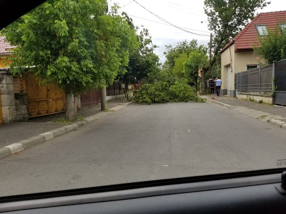 Furtuna a făcut ravagii în Cluj