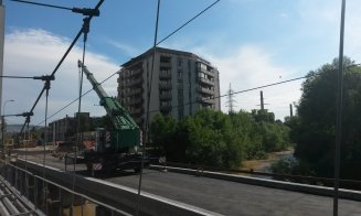 Defrișări la Podul Porțelanului. Sălciile din jur, puse la pământ
