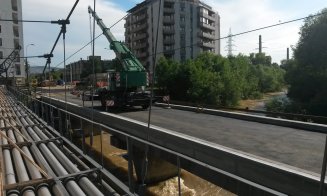 Defrișări la Podul Porțelanului. Sălciile din jur, puse la pământ