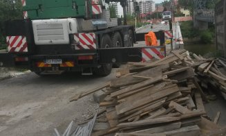 Defrișări la Podul Porțelanului. Sălciile din jur, puse la pământ