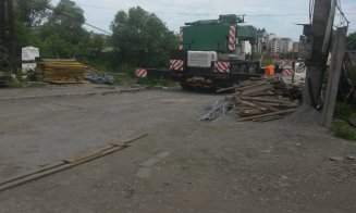 Defrișări la Podul Porțelanului. Sălciile din jur, puse la pământ