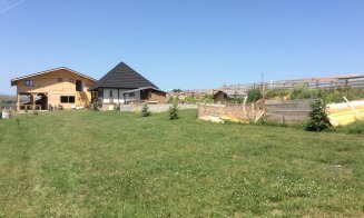 Artistul de pe lac. Pictorul-antreprenor care aduce la viață Ciurila