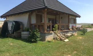 Artistul de pe lac. Pictorul-antreprenor care aduce la viață Ciurila