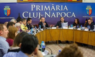 Hotărârile Consiliului Local Cluj-Napoca, din '92 până astăzi, ONLINE! În format text