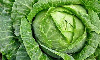 Supa de varză, super sănătoasă: te ajută să slăbeşti, detoxifică şi întăreşte organismul
