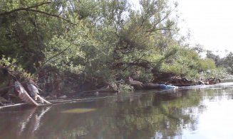 Secretele murdare ale Someșului. Ce "comori" ascund malurile de la Florești până la Cluj