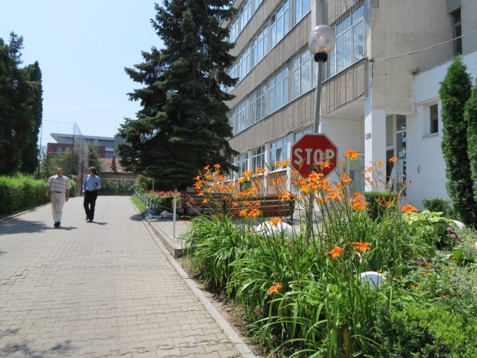 Trei licee din Cluj-Napoca, între cele mai bune din țară
